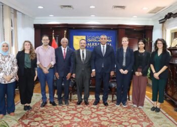 جامعة الإسكندرية تبحث مع الهيئة الألمانية للتبادل العلمي تعزيز التعاون في البحث العلمي والمنح الدولية