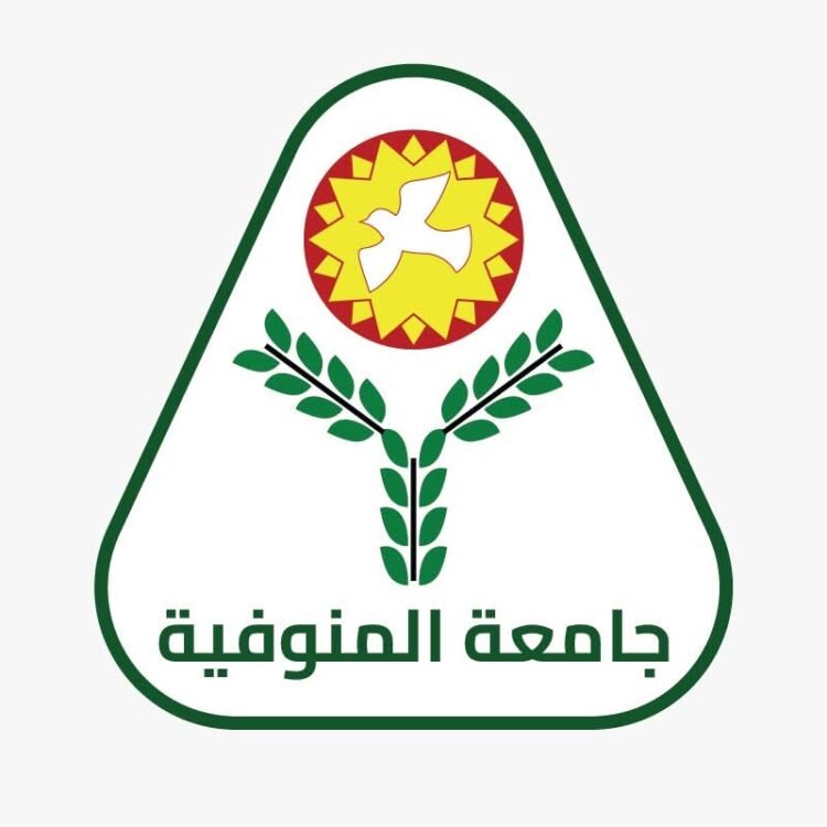 6 فرق من جامعة المنوفية تتأهل إلى نهائيات المسابقة الدولية للبرمجة التنافسية