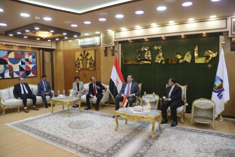 جامعة قنا والجامعة المصرية للتعلم الإلكتروني تحتفيان بتخريج دفعة جديدة من برنامج أكاديمي مشترك
