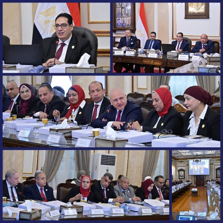 مجلس جامعة القاهرة يقر حزمة قرارات جديدة ويرسم أولويات العمل للعام الجامعي 2026/2027